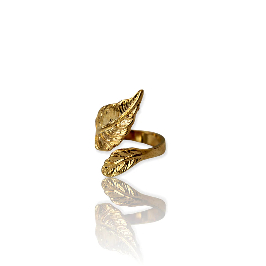Anillo Ángel