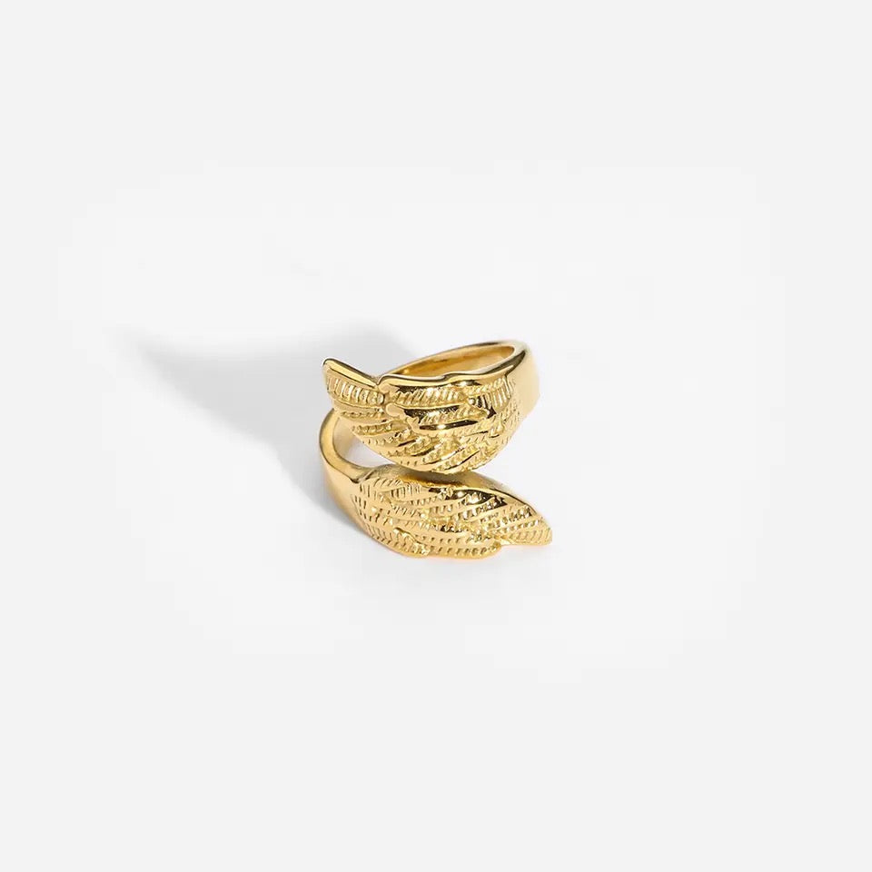 Anillo Ángel